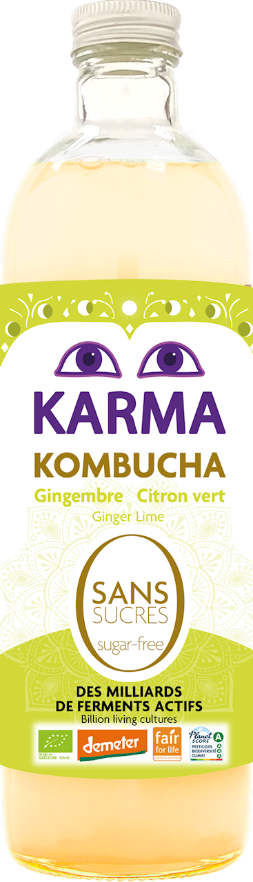 KOMBUCHA Z IMBIREM I LIMONKĄ BEZ CUKRU FAIR FOR LIFE DEMETER BIO 750 ml - KARMA KOMBUCHA